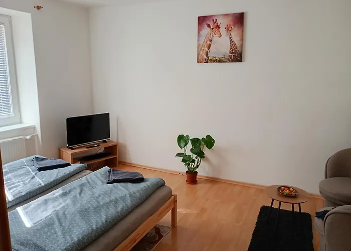 Trencan Free Parking Centre Lejlighed Trenčín